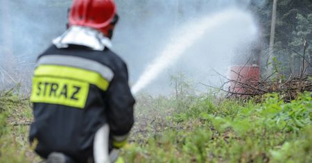 Śląskie. Strażak-piroman podpalał lasy. OSP wydała oświadczenie