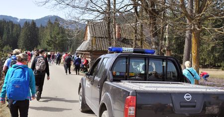 Tatry. Morskie Oko: właściciele zostawili starego psa w aucie. "Na pewno by nie przeżył"