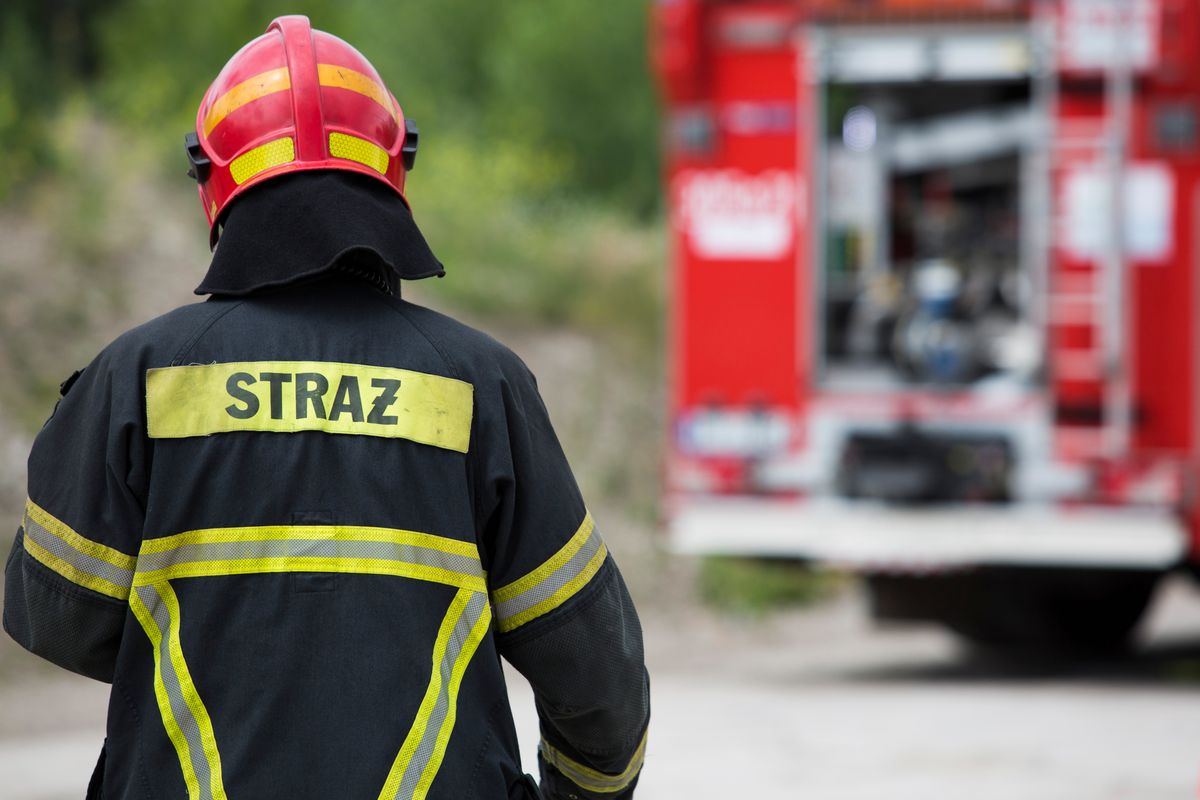 Świętokrzyskie. Bus stanął w ogniu. "Kierowca spanikował"