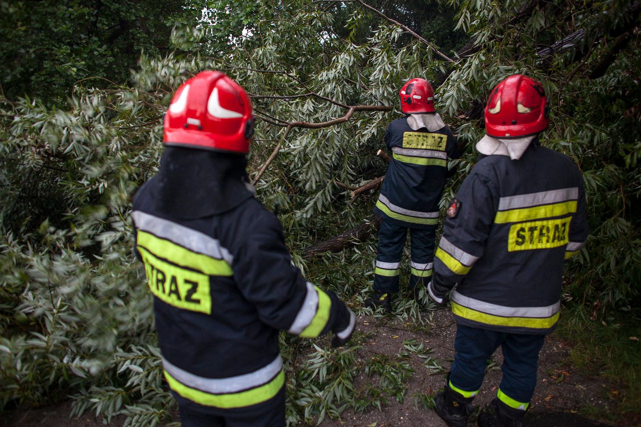 Nawałnice nad Polską. Powalone drzewa, zalane ulice