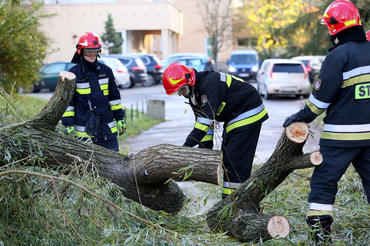 Burze i wichury spustoszyły Polskę. Ponad 400 interwencji strażaków