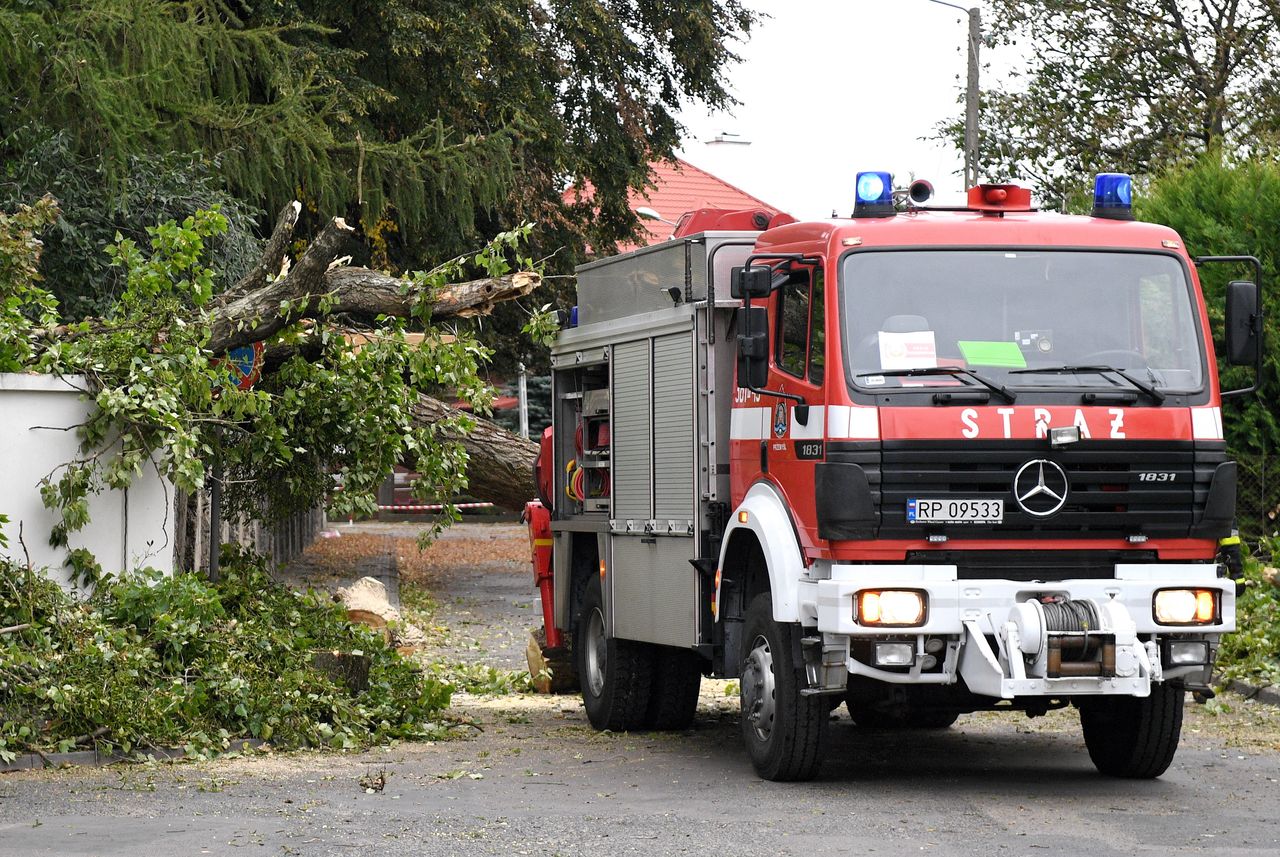 Pogoda. Silny wiatr zerwał linię energetyczną na Opolszczyźnie. Padło stado krów rażonych prądem