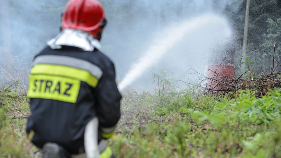 Strażak podpalił 7 lasów