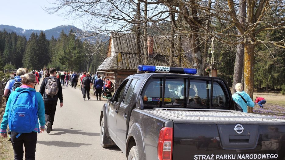 Tatry. Strażnicy Tatrzańskiego Parku Narodowego interweniowali ws. psa