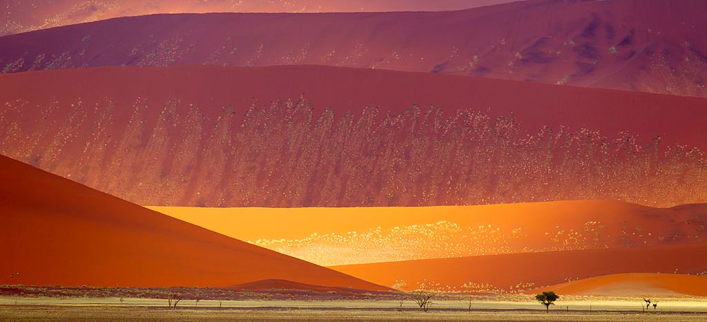 Park Narodowy Namib-Naukluft, Namibia