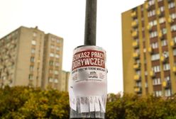 Praca sezonowa. Uwaga na fikcyjne ogłoszenia