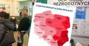 Oferty pracy. W urzędach na jedną przypada nawet kilkudziesięciu bezrobotnych