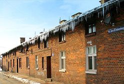 Lodowe strzały śmierci