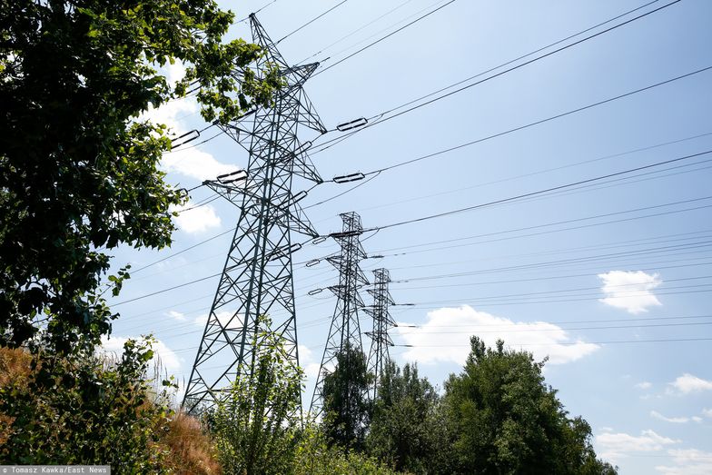 Blisko 3,5 mln gospodarstw nie korzysta z taryfy na prąd