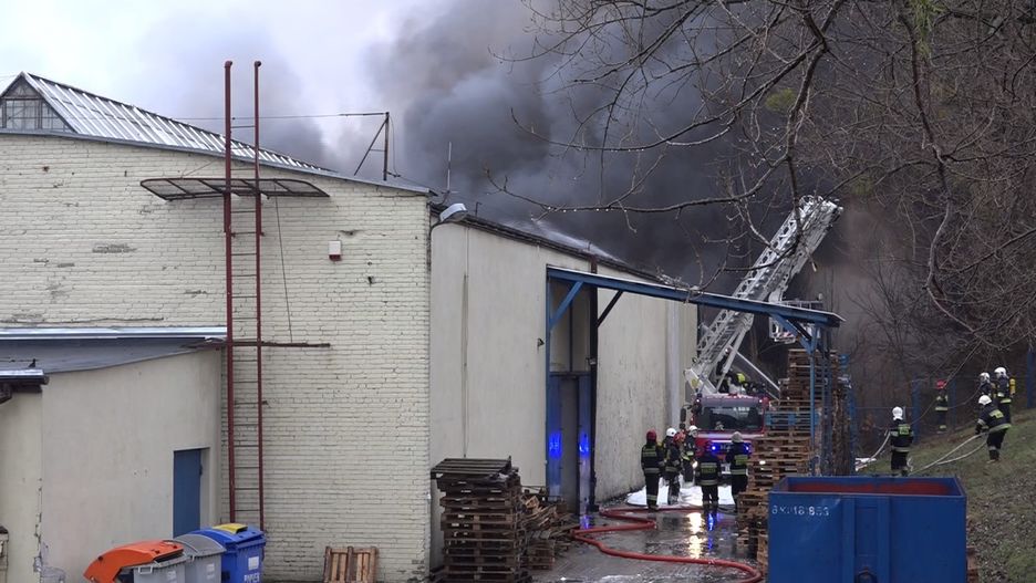 W radomskiej hali składowane były m.in sztuczne kwiaty i odzież ochronna