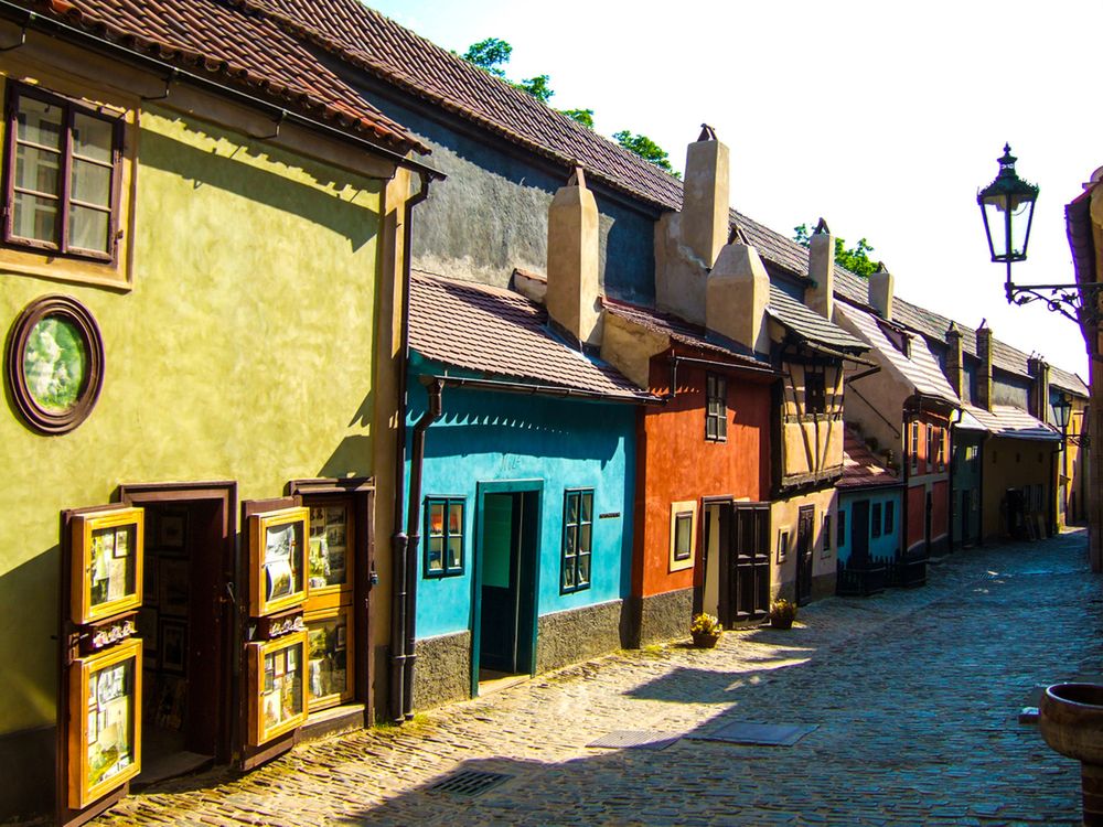 Obraz