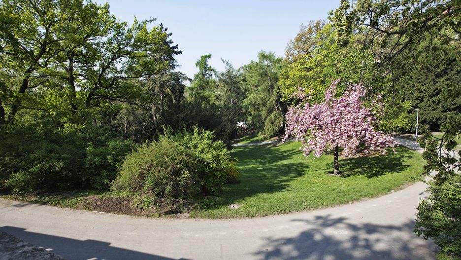 Riegrovy Sady w czeskiej Pradze