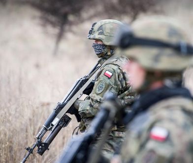Żołnierze pójdą polować na dziki. Najbardziej kuriozalny pomysł rolniczego lobby powrócił