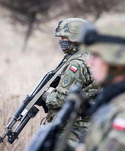 Żołnierze pójdą polować na dziki. Najbardziej kuriozalny pomysł rolniczego lobby powrócił