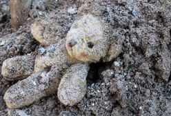 Ukraina: wybuchła mina w Donbasie. Zmarło troje dzieci