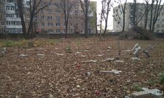 Zniszczono polskie groby na Ukrainie. Cmentarz był świeżo odnowiony