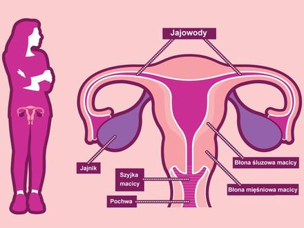 Co 3 minuty na raka jajnika umiera kobieta!