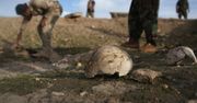 "Szokujące okrucieństwo". Makabryczne odkrycie w Iraku