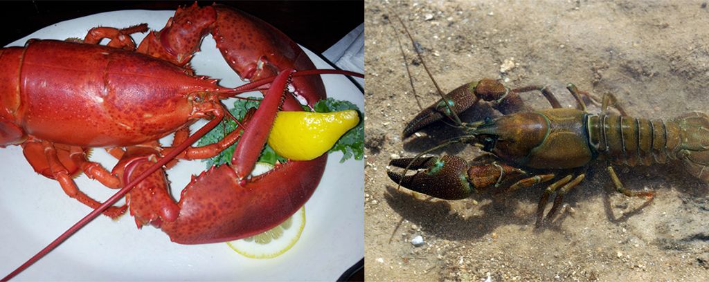 Najczęstsze pomyłki. Też je popełniasz?