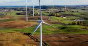 Fatalne wyniki farm wiatrowych. Większość przynosi straty