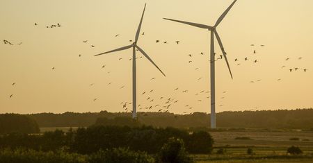 Ceny prądu. Energia elektryczna najtańsza od miesięcy. Wszystko dzięki wiatrakom