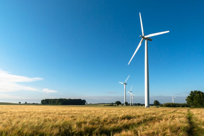 Szwecja 15 proc. produkowanej energii z wiatru przeznacza na eksport. 