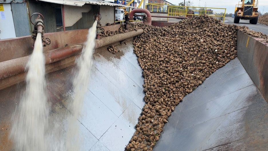 Ofiarami przewagi kontraktowej mogli być m.in. polscy producenci buraków