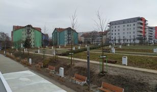 Makowski: "W Polsce miasta nadal projektuje się na: 'jakoś to będzie'" [OPINIA]