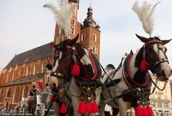 Kraków. Koniec dramatu koni na rynku. Zamknięto postój