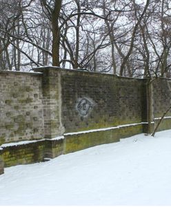 Zoo ogłasza konkurs na mural. "Symbol Warszawy nadgryzany przez żyrafę"