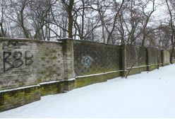 Zoo ogłasza konkurs na mural. "Symbol Warszawy nadgryzany przez żyrafę"