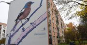"Ptasie bloki" w Krakowie. Mieszkańcy pokochali nowe murale