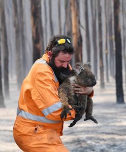 Pożary w Australii. Polscy strażacy pojadą z pomocą? Straż pożarna dementuje informacje