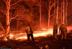 Australia. Apel do mieszkańców Nowej Walii Południowej. "Opuszczajcie domy póki możecie"