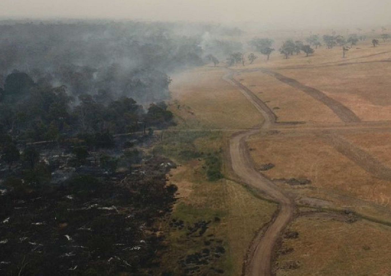 Pożary w Australii. Ogień odsłonił pradawne konstrukcje. Są starsze od piramid