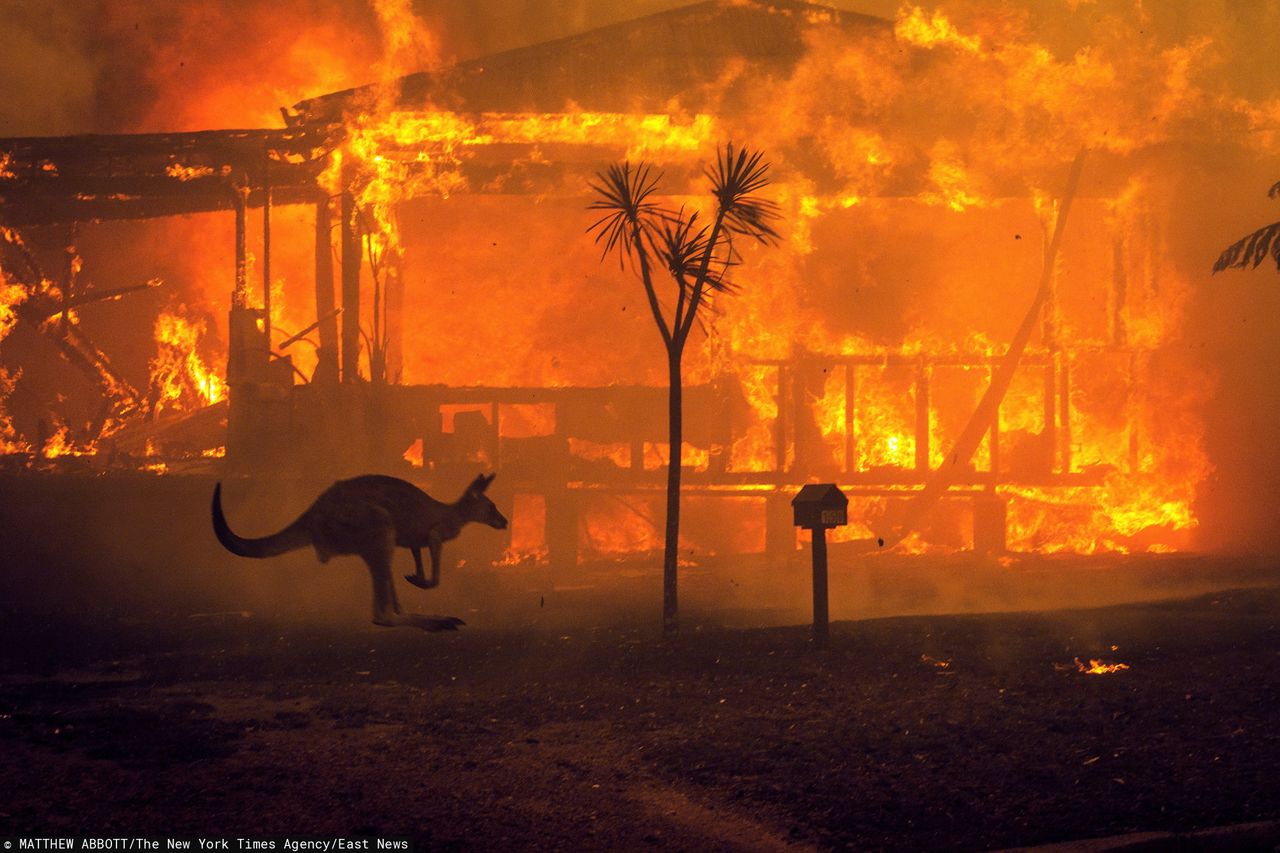 Australia płonie a ofiar jest coraz więcej. NASA pokazuje szokujące zdjęcia