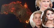 Cały świat podaje dalej! Trwa zbiórka pieniędzy dla Australii. Ogromne wpłaty od gwiazd