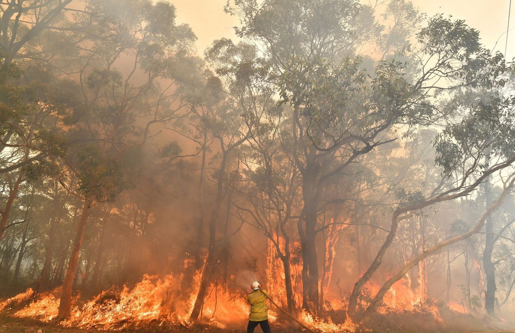 Pożary w Australii. Setki turystów uwięzionych przez ogień
