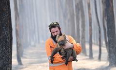 Australia płonie. Znany naukowiec: Zginął ponad miliard zwierząt