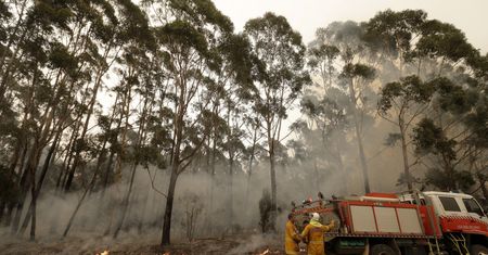W Australii zaczęło padać. Chwila wytchnienia od tragicznych pożarów