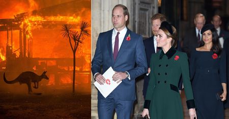 Sussexowie i Cambridge'owie solidaryzują się z ofiarami pożarów w Australii: "Jesteśmy zszokowani i głęboko zasmuceni"