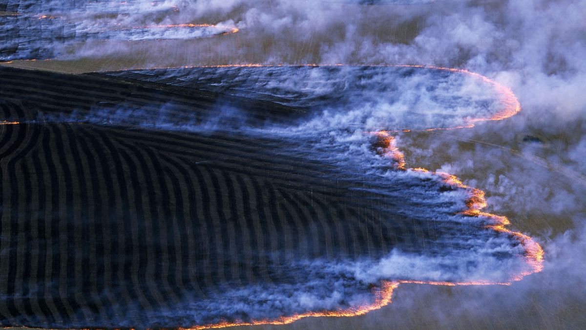 Chmura dymu nad Australią mogłaby przykryć całą Europę. 