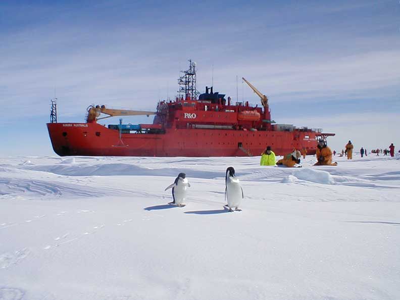 Aurora Australis