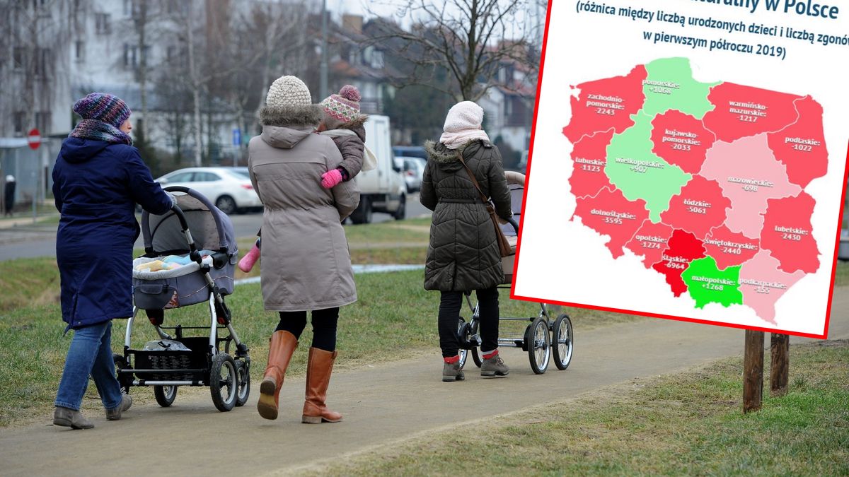 Na demograficznej mapie Polski nie ma klasycznego podziału na wschód i zachód, który widoczny jest np. na rynku pracy.