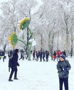 Atak zimy w Teheranie. To pierwszy taki przypadek od lat