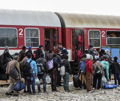 Wielkie miasta gotowe na współpracę ws. migracji. Jest wyraźna deklaracja