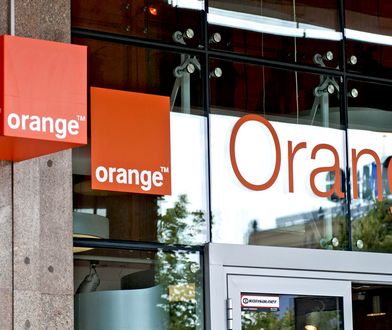 Praca dla studentów? Orange organizuje letnie płatne praktyki, najlepsi mogą zostać na stałe