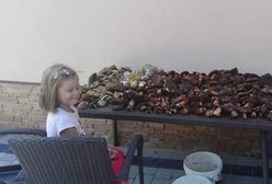 Grzybobranie trwa w najlepsze. Na zdjęciach pełne kosze i bagażniki