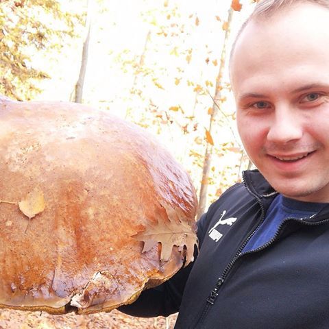 Grzybobranie na całego. Grzyb z Dolnego Śląska rozgromił konkurencję