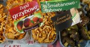 Supermarket zamiast lasu? Sprawdziłam, ile grzybów znajdziemy w gotowych produktach ze sklepu